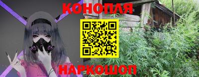 гидра Партизанск