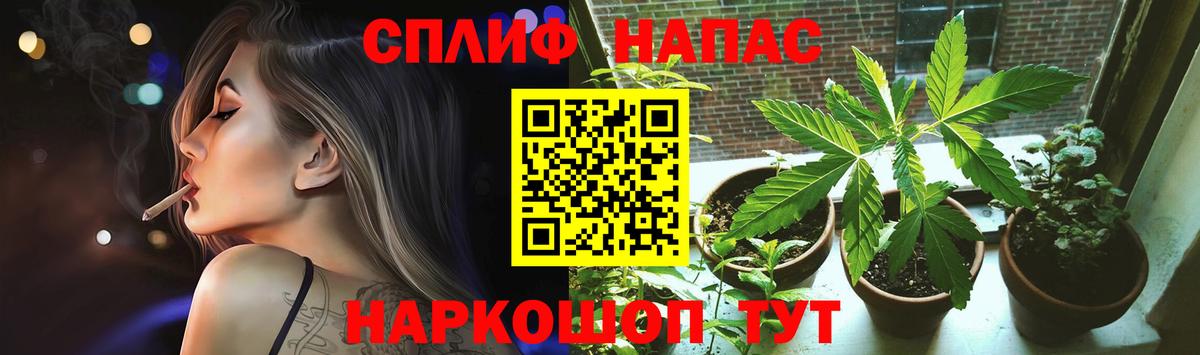 Шишки марихуана гибрид Пенза